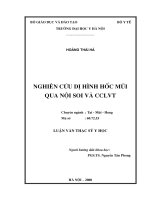 Nghiên cứu dị hình hốc mũi  qua nội soi và chụp cắt lớp vi tính (CCLVT)