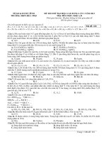 huong dan giai de hoa nam 2013