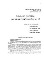 nguyên lý thống kê kinh tế