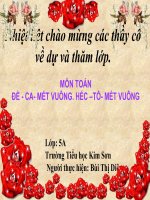 de-ca -met vuong.He-c to- met vuong