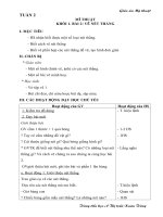 Giáo án MT Tuần 2. Từ khối 1-5