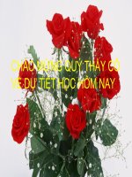 toan 5 - bai gioi thieu bieu do hinh quat