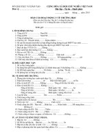 Mẫu báo cáo y tế trường học