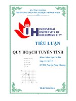 tiểu luận quy hoạch tuyến tính