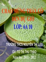 Bài 19 Đặc điểm bên ngoài của lá