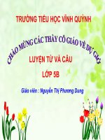 lop 5 - tuan 32 - ôn tập dấu câu dấu phẩy