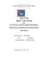 Xây dựng chương trình mô phỏng thuật toán HEURISTIC giải bài toán xếp BALO