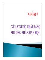 xử lý nước thải bằng phương pháp sinh học
