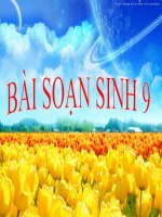 Tiết 14 sinh học 9