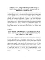chiết tách và tinh chế ubiquinone q.10 từ vi khuẩn quang dưỡng tía không lưu huỳnh rhodopseudomonas spp
