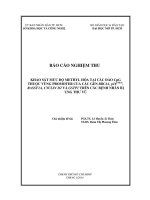 khảo sát mức độ methyl hoá tại các đảo cpg thuộc vùng promoter của các gene brca1, p16ink4a, rassfia, cyclin d2 và gstp1 trên các bệnh nhân bị ung thư vú