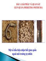 HUONG DAN DAY THUC HANH SINH 7 HAY