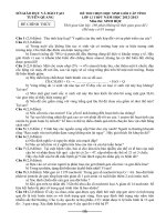 Đề thi chọn HSG cấp tỉnh năm học 2012-2013