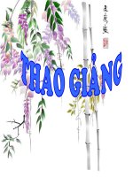tiết 26 - Bánh trôi nước