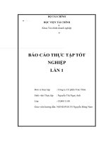 phân tích tình hình tài chính công ty cổ phần trúc thôn