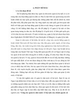 Tiểu luận tốt nghiệp