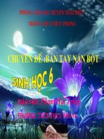 Cau tao va chuc nang cua hoa day PP BTNB