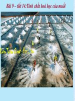 bài 9- tính chất hoá học của muối