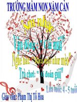 van dong minh hoa- cai mui