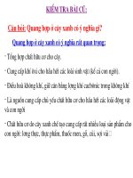 Sinh học 6 Bài Cây có hô hấp?