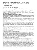 BÁO CÁO THỰC TẬP CỦA AJINOMOTO