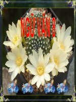 Tiết 30: Chiếc lá cuối cùng