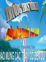 Tinh chat cua day ti só bang nhau