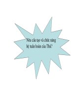 Bài 16 Tuần hoàn máu và lưu thông bạch huyết