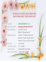 làm quen chữ cái o, ô , ơ