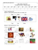 kiem tra giua ki I tieng anh5