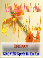 tiết 15-sự đông máu và nguyên tắc truyền máu