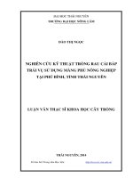 Nghiên cứu kỹ thuật trồng rau cải bắp trái vụ sử dụng màng phủ nông nghiệp tại phú bình, tỉnh thái nguyên