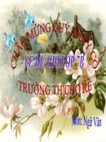 Bài 8: Tiết 33-Bandenchoinha