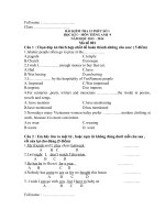 Kiểm tra 15'''' anh 9 số 1