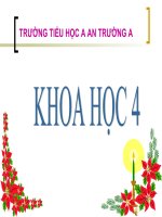bài 16 Ăn uống khi bị bệnh KH 4