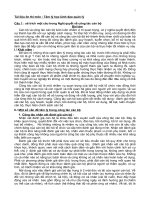 Tài liệu ôn thi môn Tâm lý học lãnh đạo quản lý