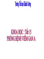 Bài phòng bệnh viêm gan A