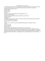 KC Người đi săn và con nai