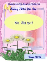 bài 16. Thân dài ra do đâu?