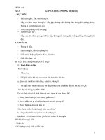 gâp cat dan phong bi