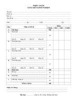 Mẫu phiếu chấm Sáng kiến kinh nghiệm