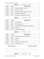 Kế hoạch giảng dạy MT 5 khối lớp