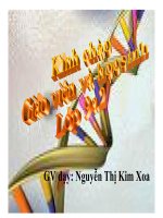 bài 16 - ADN và bản chất của gen