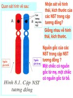 Bài 8 Nhiễm sắc thể