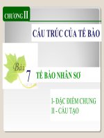 BÀI 7. TẾ BÀO NHÂN SƠ