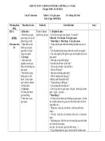 Giáo án nhánh 2 chủ đề bản thân