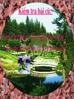 BAI GIANG THAY BOI XEM VOI