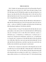 Báo cáo khoa học : Nghiên cứu ứng dụng nhện nhỏ bắt mồi họ phytoseiidae để quản lý nhện hại trên cây rau ăn quả tại tp.hcm
