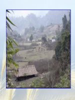 amnhac3-tuan14-ngay mua vui.ppt