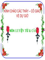Đại từ- lớp 5